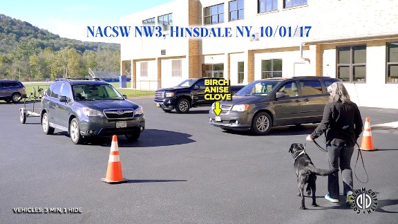 Canine Nose Work Video Service | Phoenix, MD