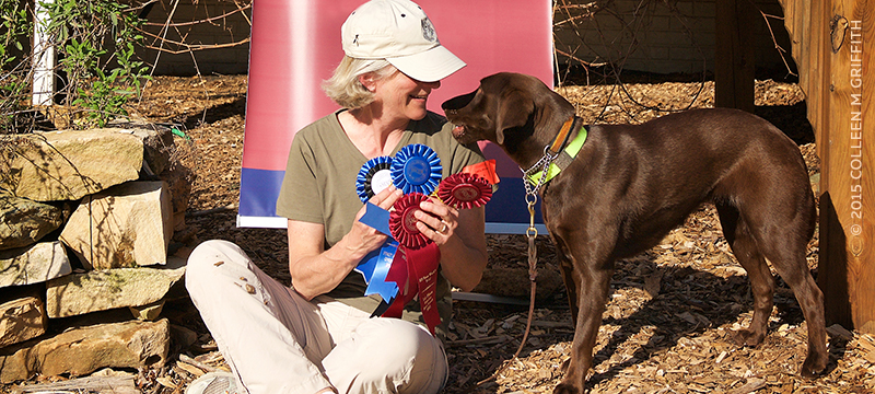 Trial Ribbons - Canine Video Production Phoenix, MD